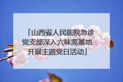 山西省人民医院急诊党支部深入六味斋基地开展主题党日活动