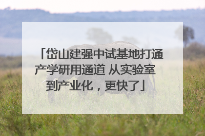 岱山建强中试基地打通产学研用通道 从实验室到产业化，更快了