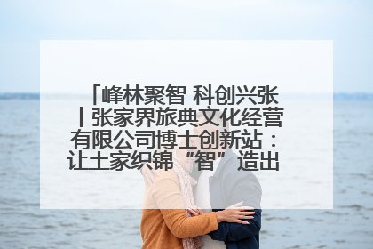 峰林聚智 科创兴张丨张家界旅典文化经营有限公司博士创新站：让土家织锦“智”造出非遗新传奇