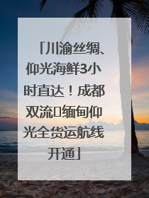 川渝丝绸、仰光海鲜3小时直达！成都双流⇌缅甸仰光全货运航线开通