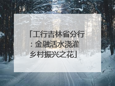 工行吉林省分行：金融活水浇灌 乡村振兴之花