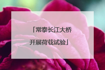 常泰长江大桥开展荷载试验