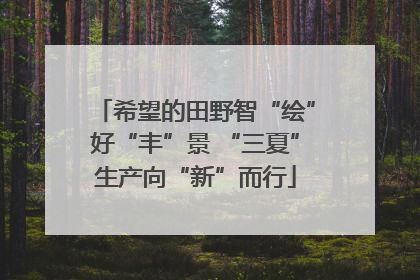 希望的田野智“绘”好“丰”景 “三夏”生产向“新”而行