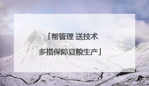 帮管理 送技术 多措保障夏粮生产