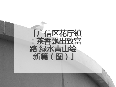 广信区花厅镇：茶香飘出致富路 绿水青山绘新篇（图）