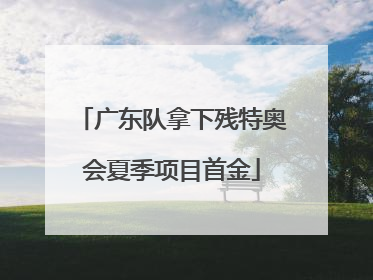 广东队拿下残特奥会夏季项目首金