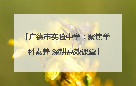广德市实验中学：聚焦学科素养 深耕高效课堂