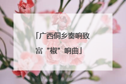 广西侗乡奏响致富“椒”响曲