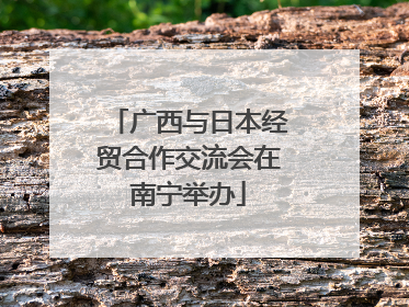 广西与日本经贸合作交流会在南宁举办