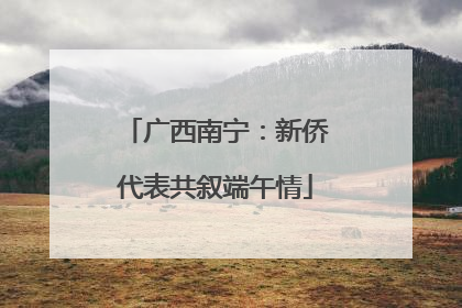 广西南宁：新侨代表共叙端午情