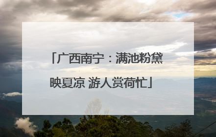 广西南宁：满池粉黛映夏凉 游人赏荷忙