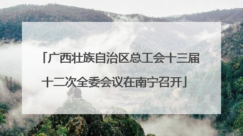 广西壮族自治区总工会十三届十二次全委会议在南宁召开