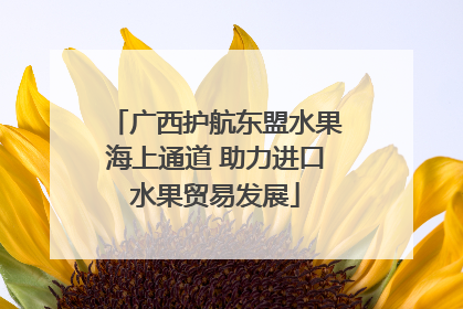 广西护航东盟水果海上通道 助力进口水果贸易发展