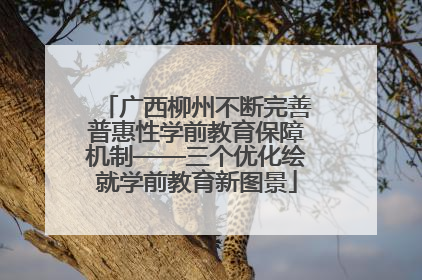 广西柳州不断完善普惠性学前教育保障机制——三个优化绘就学前教育新图景