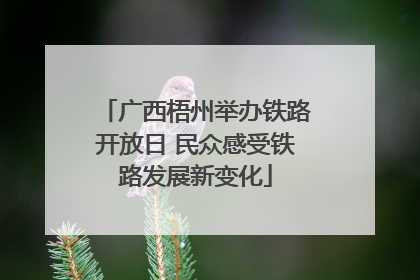 广西梧州举办铁路开放日 民众感受铁路发展新变化