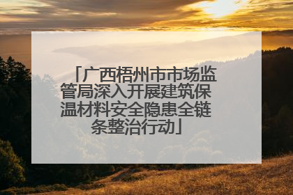 广西梧州市市场监管局深入开展建筑保温材料安全隐患全链条整治行动