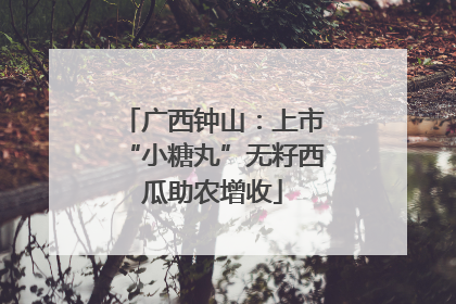 广西钟山：上市“小糖丸”无籽西瓜助农增收