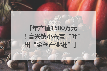 年产值1500万元！高兴镇小蚕茧“吐”出“金丝产业链”