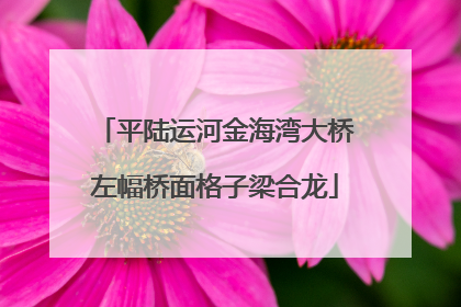 平陆运河金海湾大桥左幅桥面格子梁合龙
