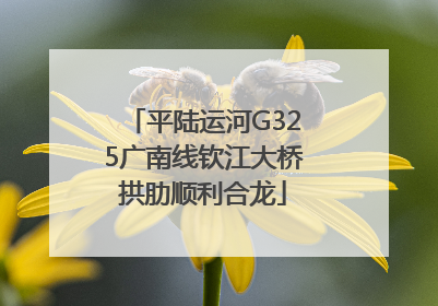 平陆运河G325广南线钦江大桥拱肋顺利合龙