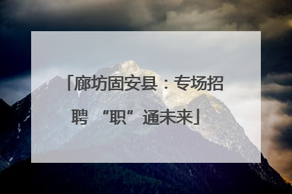 廊坊固安县：专场招聘 “职”通未来