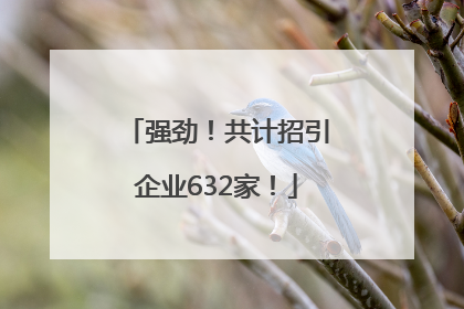 强劲！共计招引企业632家！