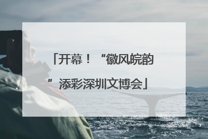 开幕！“徽风皖韵”添彩深圳文博会