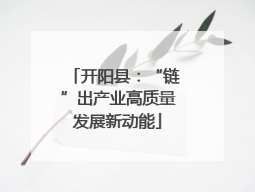 开阳县：“链”出产业高质量发展新动能