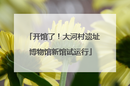 开馆了！大河村遗址博物馆新馆试运行