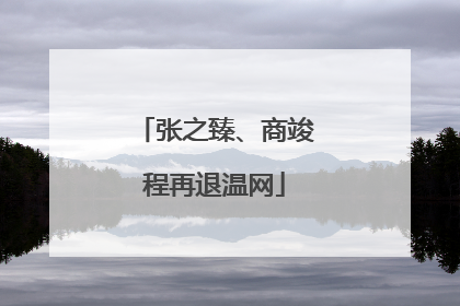 张之臻、商竣程再退温网