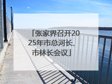 张家界召开2025年市总河长、市林长会议