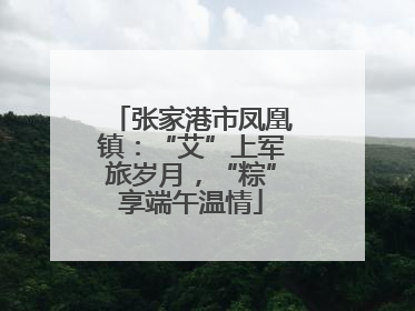 张家港市凤凰镇：“艾”上军旅岁月，“粽”享端午温情