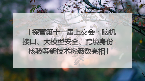 探营第十一届上交会：脑机接口、大模型安全、跨境身份核验等新技术将悉数亮相