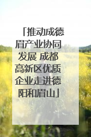 推动成德眉产业协同发展 成都高新区优质企业走进德阳和眉山