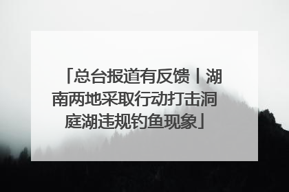 总台报道有反馈丨湖南两地采取行动打击洞庭湖违规钓鱼现象