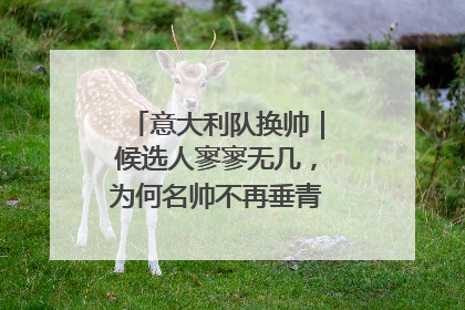 意大利队换帅｜候选人寥寥无几，为何名帅不再垂青“蓝衣军团”？