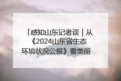 感知山东记者谈｜从《2024山东省生态环境状况公报》看美丽山东建设的“成绩单”与“任务书”