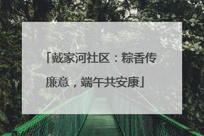 戴家河社区：粽香传廉意，端午共安康