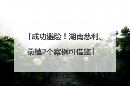 成功避险！湖南慈利、桑植2个案例可借鉴