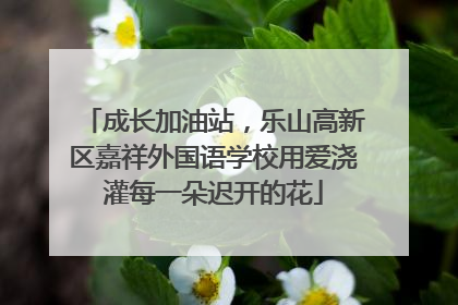 成长加油站，乐山高新区嘉祥外国语学校用爱浇灌每一朵迟开的花