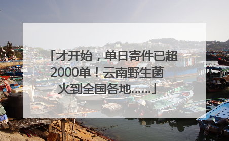 才开始，单日寄件已超2000单！云南野生菌火到全国各地……