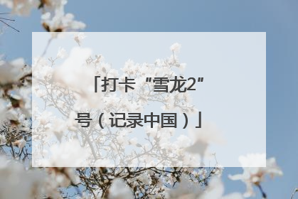 打卡“雪龙2”号（记录中国）