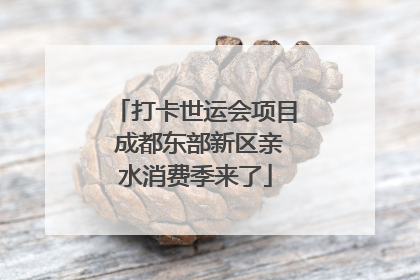 打卡世运会项目 成都东部新区亲水消费季来了