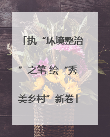 执“环境整治”之笔 绘“秀美乡村”新卷