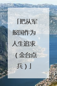 把从军报国作为人生追求（金台点兵）