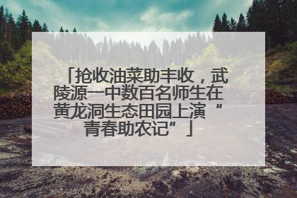 抢收油菜助丰收，武陵源一中数百名师生在黄龙洞生态田园上演“青春助农记”
