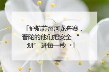护航苏州河龙舟赛，普陀的他们把安全 “划” 进每一秒→