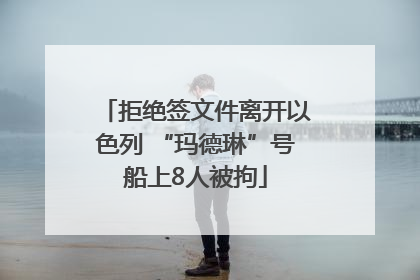 拒绝签文件离开以色列 “玛德琳”号船上8人被拘