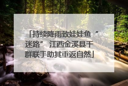 持续降雨致娃娃鱼“迷路” 江西金溪县干群联手助其重返自然