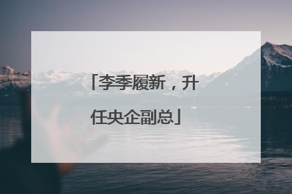 李季履新，升任央企副总